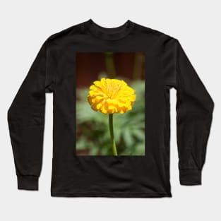 Zinnia Long Sleeve T-Shirt